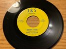 LOUISIANA SOUL GARAGE MOD 45 MIKE TAYLOR DRIVING HOME J&S 1001 MINT-