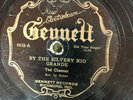 Gennett 6638 Ted Chestnut THE DRUNKARD'S DOOM   1928 78 rpm  VV-