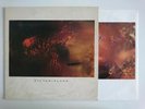 COCTEAU TWINS VICTORIALAND 4AD CAD 602 ELZABETH FRASER ETHEREAL INNER SLEEVE
