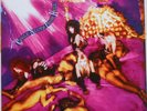 CYCLE SLUTS FROM HELL SAME LP 1991  EX