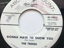Northern Soul 45 The Trends Gonna Have To Show You MINT PROMO ABC-Paramount Lbl.