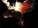 MONOLORD - No Comfort - Vinyl (2xLP)