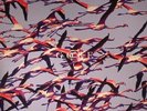 DEFTONES - Gore - Vinyl (gatefold heavyweight white vinyl 2xLP + insert)
