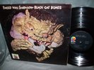 Black Cat Bones  
