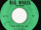 THE FALCONS Good Good Feeling / Love You Like Big Wheel Northern Soul 45 HEAR