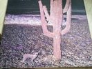 Indian Summer - UK RCA Neon LP (1971) Prog Rock ultra RARE