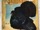 Wild Turkey - Turkey - UK Original 1972 Chrysalis LP - Jethro Tull - Prog