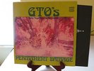 GTO's Permanent Damage Straight Rec NEW Absolutely MINT Never Played Zappa w/ins
