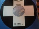 Binary Finary ?– 1999, Vinyl 1999