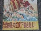 TISM Hot Dogma Vinyl Album 1990 Rare