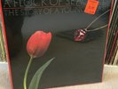 A Flock of Seagulls Mike Score - *SEALED The Story of a Young Heart Vinyl Record