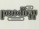 THE PRODIGY Experience VINYL LP NEW & SEALED