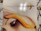 Thirteenth Step by A Perfect Circle Vinyl