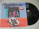 Whitesnake ?– 