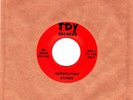 ANIMALS - HOUSE OF THE RISING SUN / STONES - SATISFACTION 