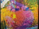 JACKET ONLY  for The LITTER LP, $100 fine. NO LP NO RECORD ORIGINAL JACKET ONLY