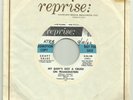 Halloween Rock & Roll 45 SOUPY SALES My Baby's Got A Crush On Frankenstein hear