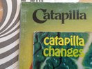 CATAPILLA VERTIGO S/T + CHANGES - UK ORIGINALS 1971+1972 VRARE PROG SWIRL