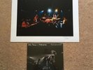 NEIL YOUNG - JOEL BERNSTEIN SIGNED PRINT & Tuscaloosa Vinyl LP Ltd Ed Of 100