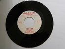 Rare ROCKABILLY DANNY DELL Froggy /You Went Away ROCKIN 45 RR160 ORGINAL US 1960