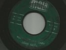 ROCKABILLY bw DOOWOP TEEN-- DAVID GATES - YOU'LL BE MY BABY - HEAR- 1960 MALA