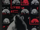 VARIOUS: Live At The Rat LP (2 LPs, gatefold) Rock & Pop