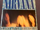 Nirvana, Smells Like Teen Spirit/ Drain You 7