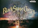 Black Stone Cherry - Family Tree LP 180g Vinyl 2 LP SET BRAND NEW GATEFOLD
