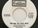 SEBASTIAN WILLIAMS & SOUL MEN rare The One You Can’t Have 45 LISTEN