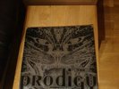 The Prodigy Charly 12” Vinyl 1991 Original XLT21