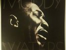 Muddy Waters ?- Mannish Boy Best Of 2 x LP - SEALED 180 Gram Vinyl Record Album
