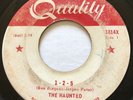 GARAGE PUNK The Haunted 1-2-5 Quality 45 very rare KILLER Canadian FUZZ