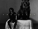 6LACK - FREE 6LACK NEW VINYL
