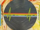 Pink Floyd Dark Side of the Moon 1978 LIMITED EDITION PICTURE DISC LP SEALED USA