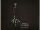 ARCTIC MONKEYS My Propeller Vinyl Record 10 Inch Domino RUG259T 2010 1st Press