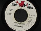 JOHN HAMMOND: I Wish You Would 45 (dj, xol) Rock & Pop