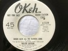NORTHERN SOUL - WALTER JACKSON - I'LL KEEP ON TRYING  - OKEH DEMO