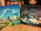 (2) Asia Lp's,self titled,alpha,80's,original,ex