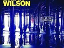 Brian Wilson 2LP No Pier Pressure - limited vinyl edition 2 LP Set NEU OVP