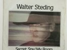 ANDY WARHOL ART COVER WALTER STEDING SECRET SPY 45 7' 1982