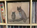 Neil Halstead - Palindrome Hunches (2012)