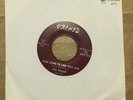 Rare THE PAGANS Going To Lose That Girl / Strawman MN Garage 45 Orchid Records