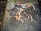 EX+ UK TREND LP - WARM DUST - AND IT CAME TO PASS