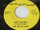 KILLER MICHIGAN GARAGE PUNKER  COUNT AND THE COLONY PA-GO-GO LBL CAN'T YOU SEE