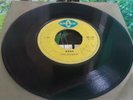 BLUE CAT // THE SLICKERS-MARTIN RILEY-NANA-MAY NEVER SEE MY BABY -7'' Listen