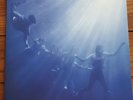 Foals - Total Life Forever - Double Colored Vinyl LP
