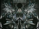 ACID MOTHERS TEMPLE & THE MELTING PARAISO U.F.O. ?– DARK SIDE OF THE BLACK MOON