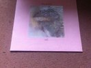 Pete Sinfield - Still / Manticore ?– ANTI 2001 / King Crimson - EX/VG