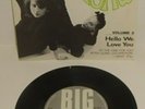 THE DELMONAS VOLUME 2 HELLO WE LOVE YOU 1984 BIG BEAT 7