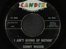 SONNY WILSON: I Ain't Giving Up Nothin' / Troubled Times 45 Rockabilly